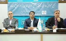 گروه مالی توسعه تعاون ظرفیتی برای پیشبرد نوآوری های مالی بانک است