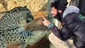 پلنگ ایرانی، یک اسرائیلی را کُشت