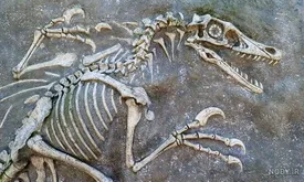 کدام مناطق ایران محل زندگی دایناسورها بوده است؟