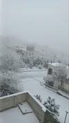 برف دل انگیز تهران را سفیدپوش کرد/ ببینید