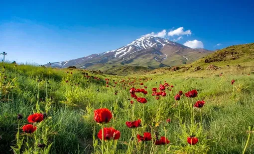 ایرانِ ما؛ دماوند/عکس :کیوان جعفری