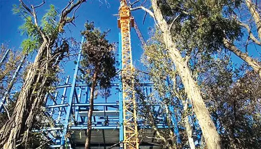 شهرهای دوستدار محیط زیست