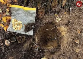 کشف گنجینه‌ای از سکه‌های طلای آمریکایی و روسی+ عکس