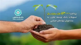 پرداخت 5300 میلیارد ریال تسهیلات بانک توسعه تعاون به مددجویان نهادهای حمایتی