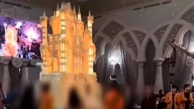 کیک ۵۰۰ میلیونی در عروسی شیراز