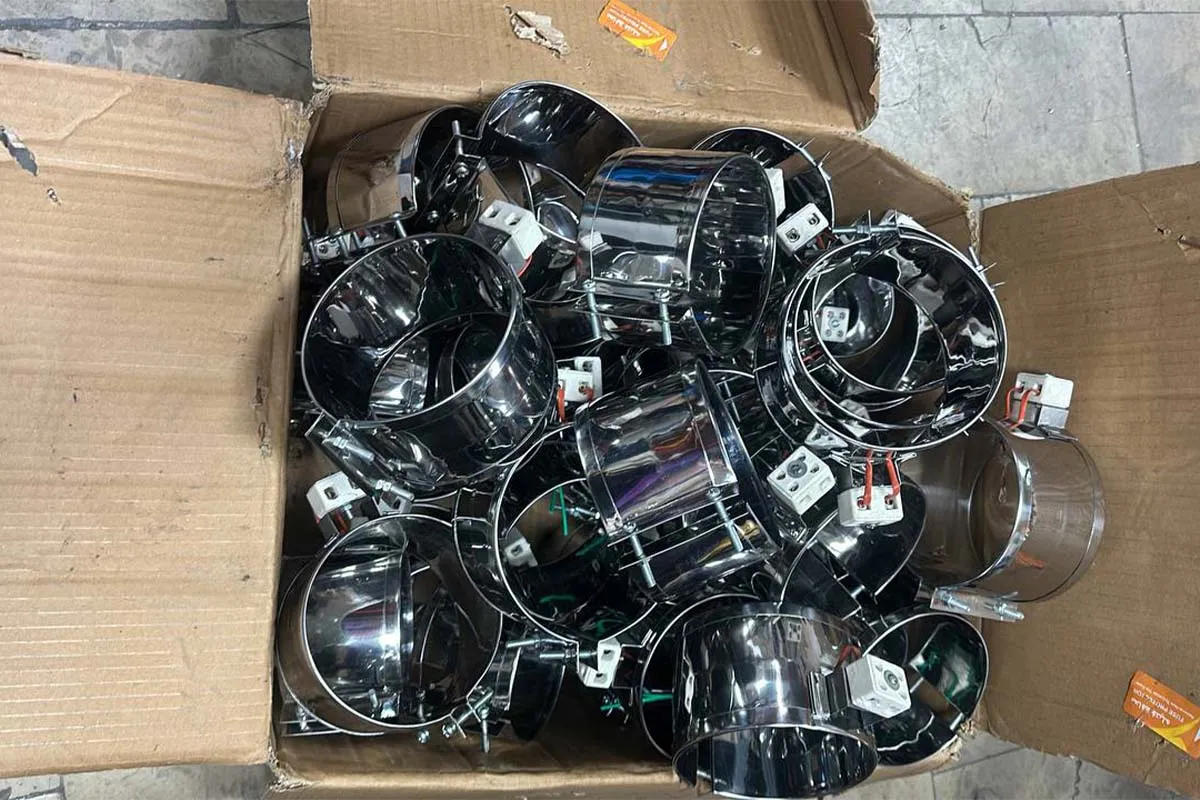 طول عمر المنت