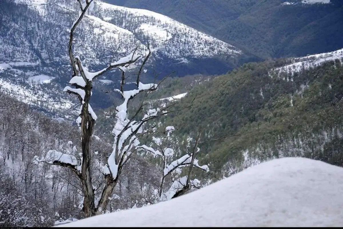 پیش بینی هواشناسی کرمانشاه تا آخر هفته/ سه‌شنبه اوج بارشها