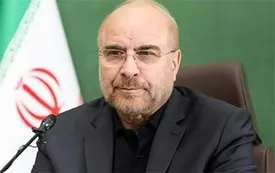 هرکس که بخواهد با افترا آبروی مجلس را ببرد مورد پیگیری قرار خواهد گرفت