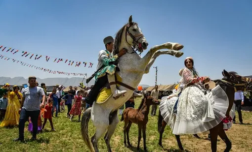 عروسی سنتی قشقایی در فیروزآباد فارس/عکس :امین برنجکار