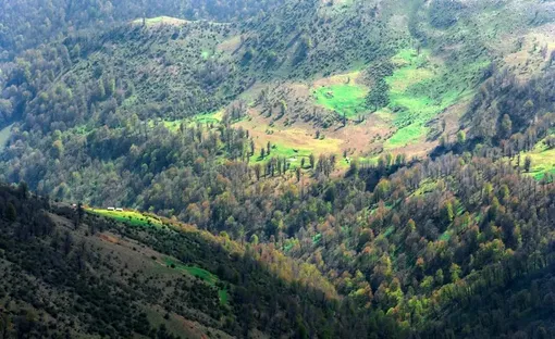 ماسال؛ بهشتی در میان ابرها/ عكس : عارف فتحی اکبری