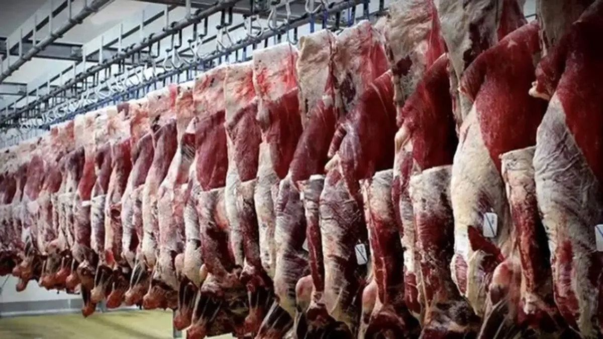 گوشت ۶۰۰هزارتومانی جایگزین گوشت دولتی شد