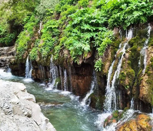 طبیعت