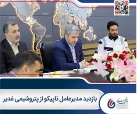 بازدید مدیرعامل تاپیکو از پتروشیمی غدیر