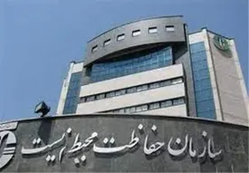 ۱۵ گزینه ریاست سازمان محیط زیست مشخص شدند؛ خانمها هم هستند / اسامی