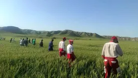 کشف جسد دختر تهرانی در زمین کشاورزی