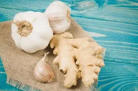 ۴ آنتیبیوتیک طبیعی