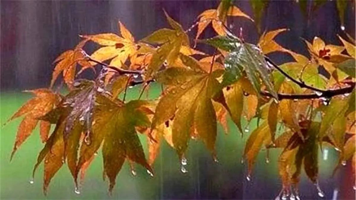 رگبار باران و کاهش دمای هوا در بیشتر استان‌ها