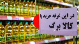 ادعای نقص اطلاعات فراجا درباره قطع کالابرگ بیاساس است