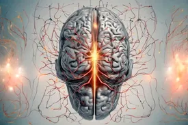 چه چیزی باعث می شود شما سرعت را بر دقت ترجیح دهید؟