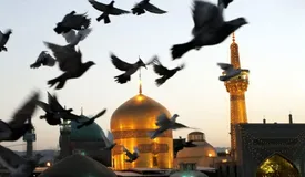 «چهارشنبههای امام رضایی» باید گسترش یابد