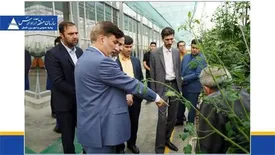 تکمیل زنجیره ارزش و افزایش بهره وری، راهبرد توسعه کشاورزی مدرن در منطقه آزاد ارس