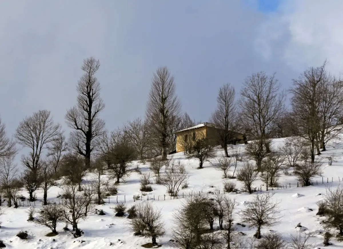 اعلام زمان بارش برف در تهران