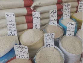 برنج ایرانی و خارجی در بازار ارزان شد