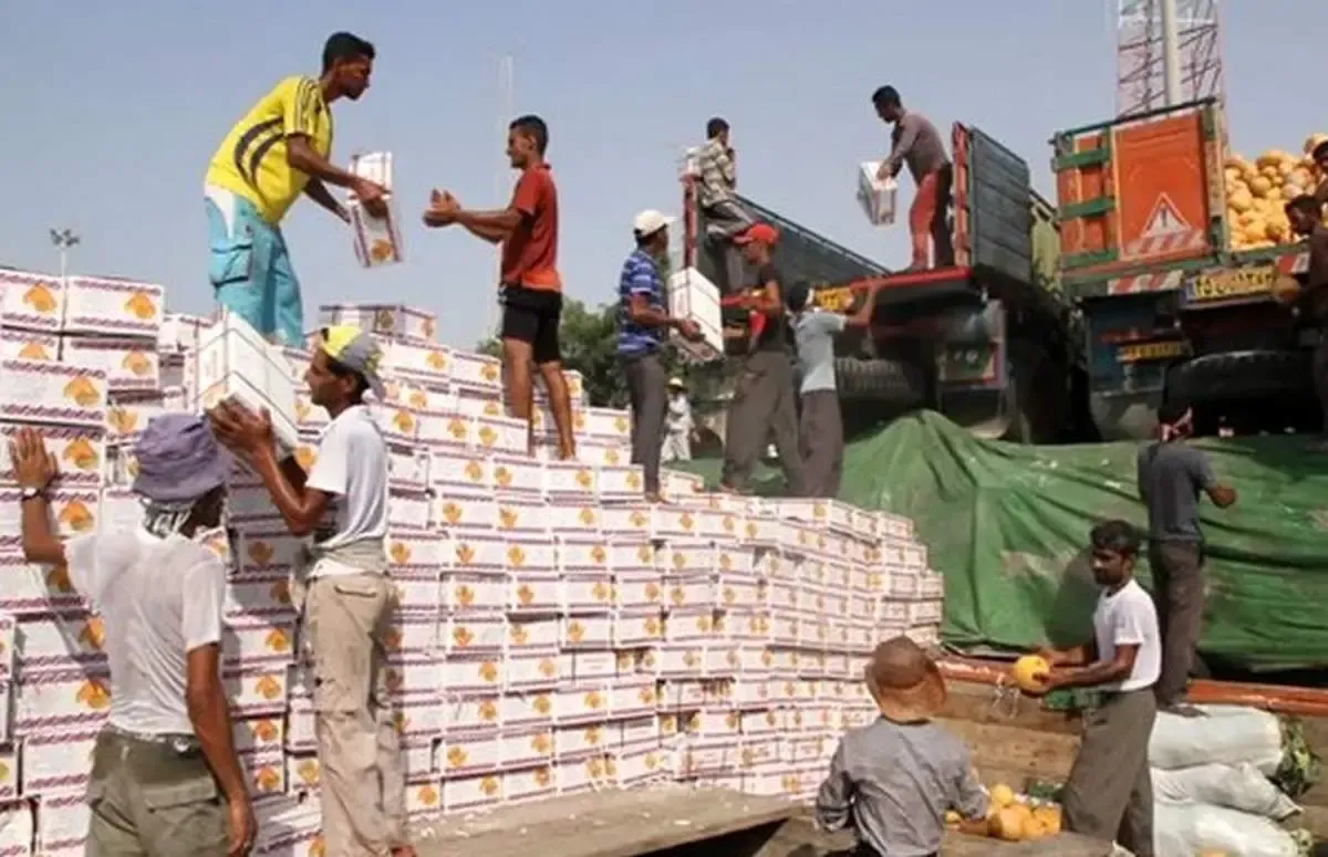 ۱۱ هزار کارگر در معرض خطر/ استانداردهای ایمنی در اسکله رجایی نادیده گرفته می‌شود