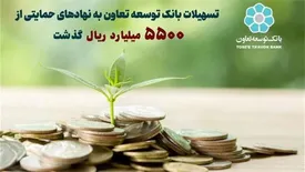 تسهیلات بانک توسعه تعاون به نهاد های حمایتی از 5500 میلیارد ریال گذشت