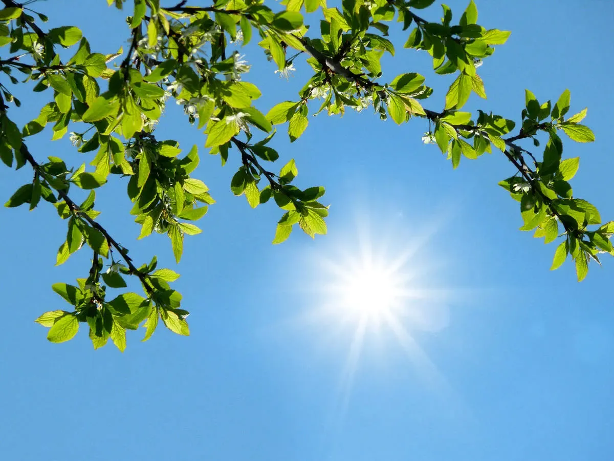 هواشناسی / گرد و خاک مهمان این مناطق می‌شود