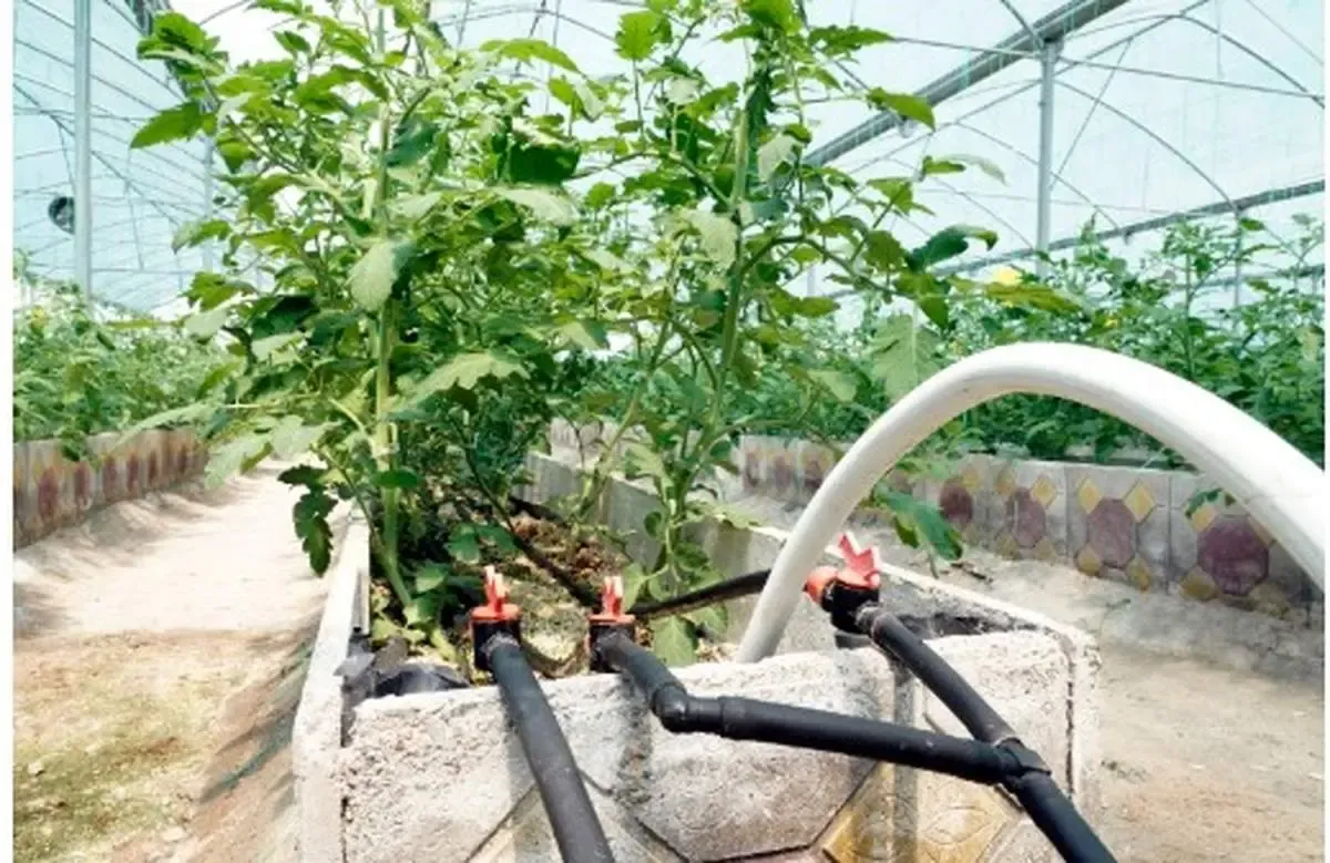 بهره برداری از پروژه آبرسانی به مجتمع گلخانه ای ۱۴۰ هکتاری ارس