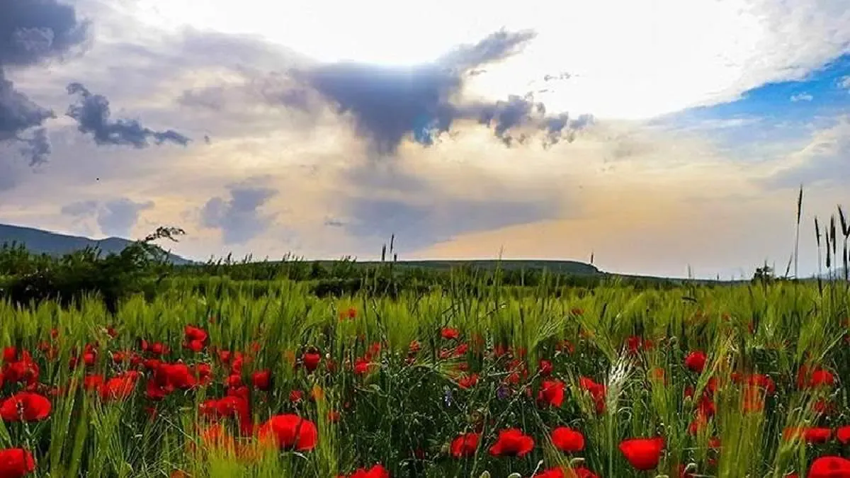 طبیعت منطقه ارسباران - آذربایجان شرقی / عکاس : مهدی دایلاری