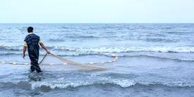 وضعیت بد ماهی ها در ایران