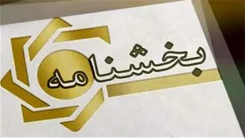 صدور ضمانت نامه ریالی برای تضمین تسهیلات و تعهدات ارزی ممنوع شد