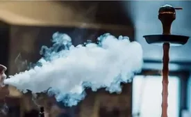 تفریح سالم؟