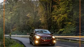 شاهین از زبان شاهینسوارها