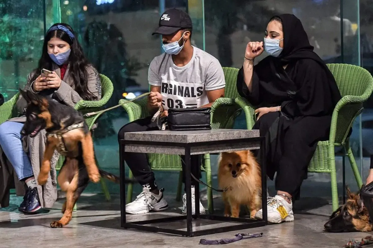 سگ‌گردانی در این شهر ممنوع شد