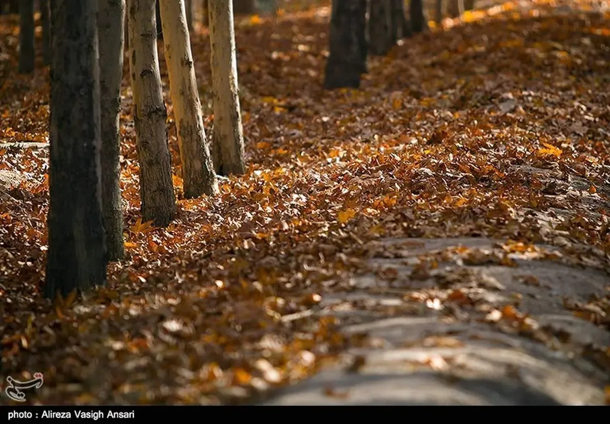 گرمای پاییز امسال بی سابقه است؟