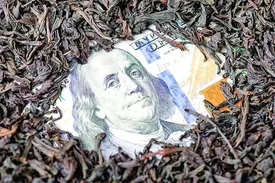 طعم تلخ چای برای 2 وزیر اصولگرا