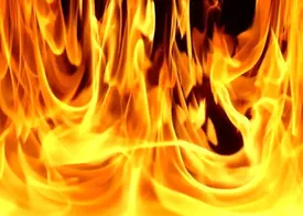 تصادف یا قتل؟ راز آتش‌سوزی مرگبار در پارک چیتگر