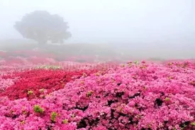 خاص ترین شهرهای ایران برای سفر در اردیبهشت