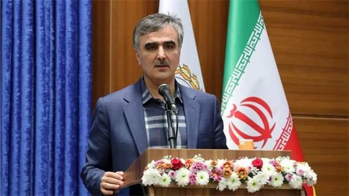 فرزین: اصلاح ساختار،موجب پویایی بانک ملی ایران می شود