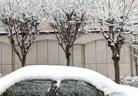 مدارس تهران و مشهد تا سه‌شنبه ۲ بهمن‌ماه تعطیل شد؟