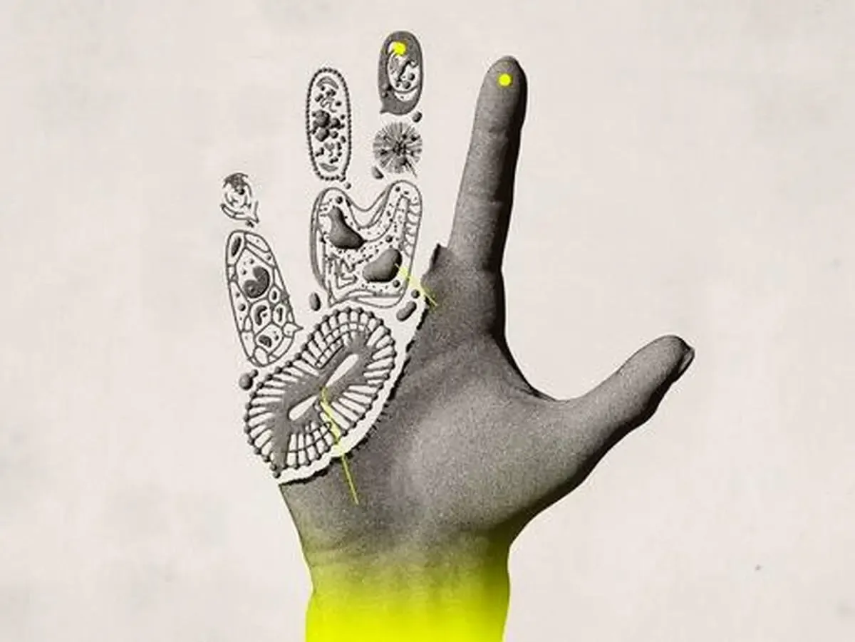 اندام‌های عجیبی که در بدن انسان دوباره رشد می‌کنند!