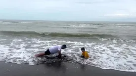 شنا تا پایان هفته ممنوع شد/ علت و مناطق شامل ممنوعیت