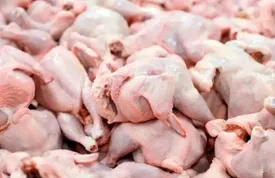 رکوردشکنی بی‌سابقه قیمت‌ها در بازار / قیمت مرغ عجیب شد