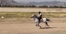 استقبال جالب سوارکاران از پزشکیان/ فیلم