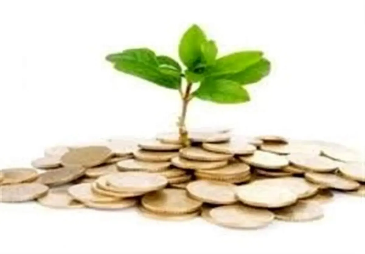 ضرورت تامین منابع مالی جهت رونق اقتصادی