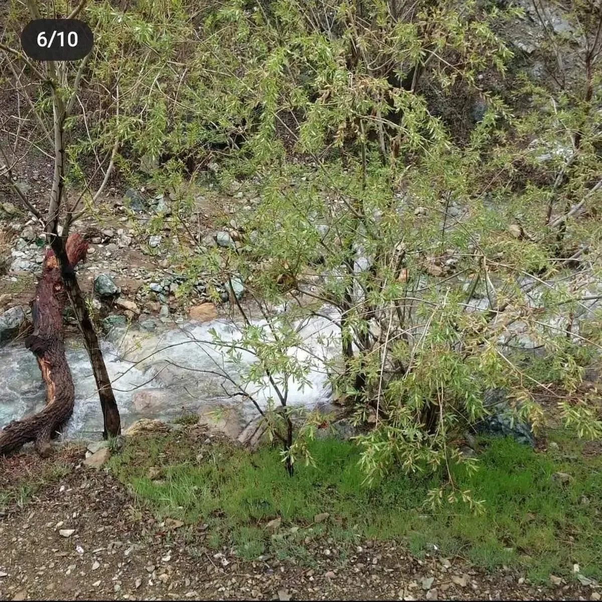 قتل مرموز استاد دانشگاه در دره!