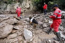 نجات معجزه‌آسا؛ کودک ۳ ساله مفقود در اردبیل به خانواده‌اش بازگشت